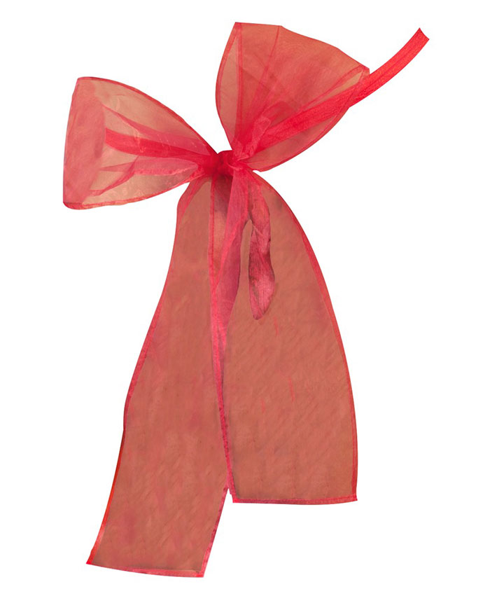 Mandy Mystery Lingerie Bow Red